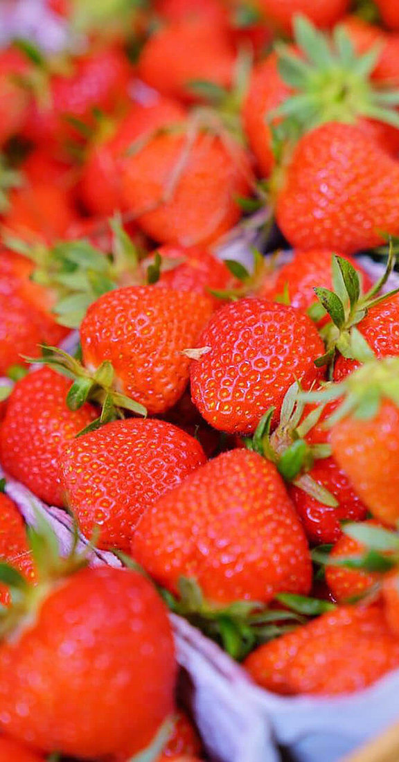Erdbeeren, Hofgut Dagobertshausen 