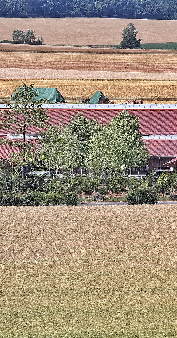 Reitsportanlage auf dem Hofgut Dagobertshausen