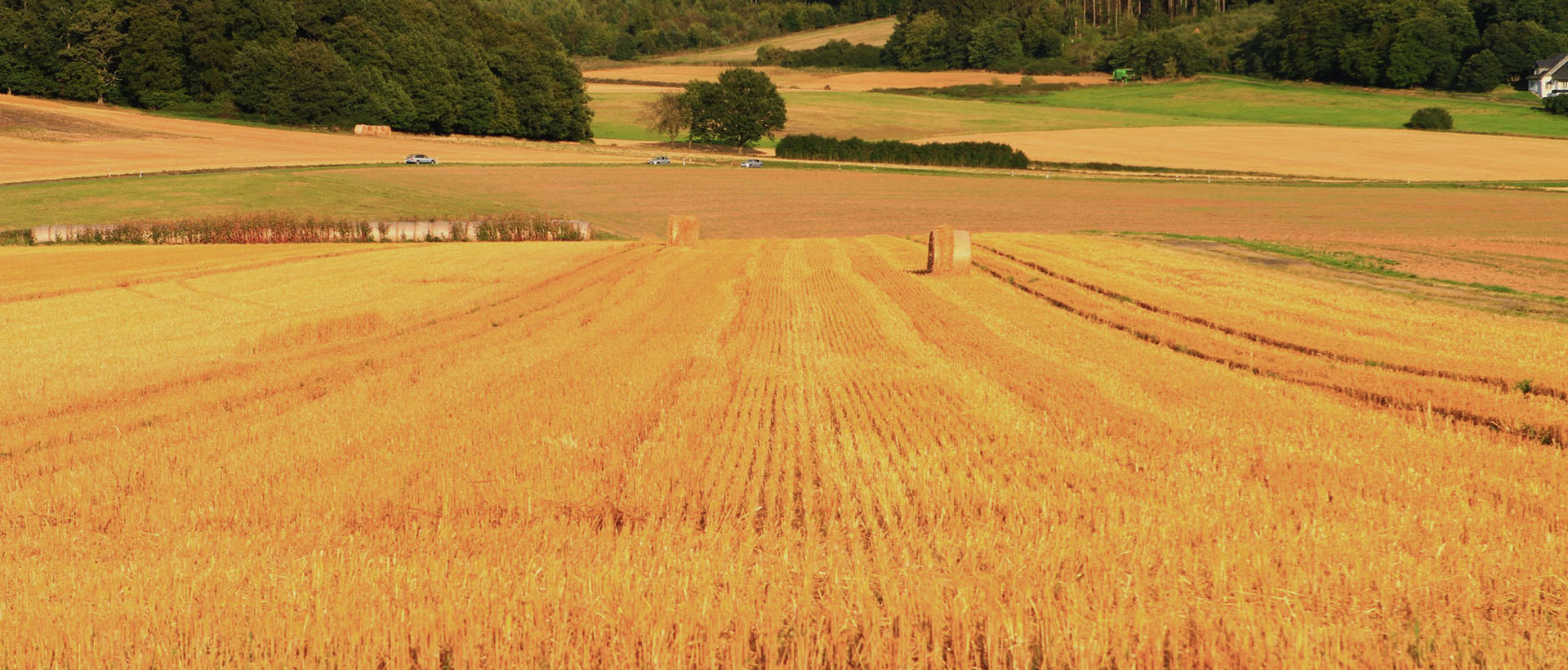 Landwirtschaft, Hofgut Dagobertshausen 